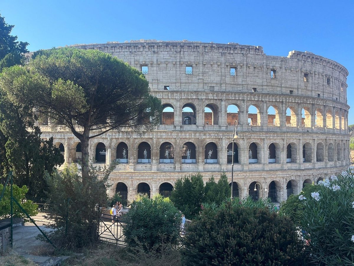The Colosseum behind the umbrella pines