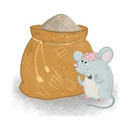 A sack of mouse brain powder